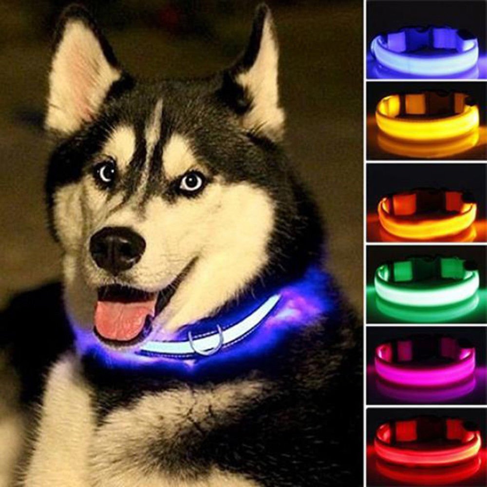 2 PCS Set Nylon LED Dog Collar - Ferano Pet2 PCS Set Nylon LED Dog CollarFerano Pet2 PCS Set Nylon LED Dog CollarL