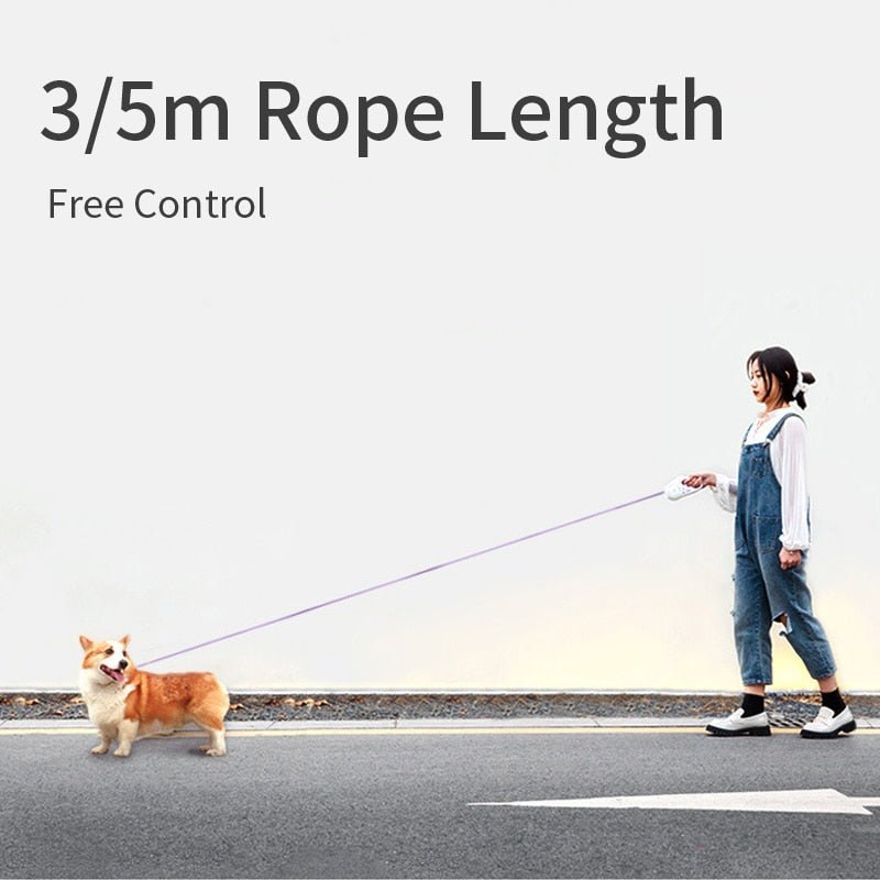 Automatic Retractable Lighting Dog Leash - Ferano PetAutomatic Retractable Lighting Dog LeashFerano PetAutomatic Retractable Lighting Dog Leash3 metersGreen