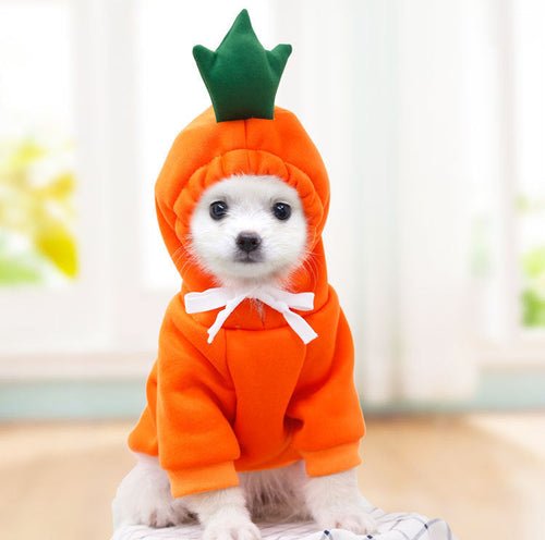 Cute Fruit Dog Clothes For Small Dogs Hoodies Winter Warm Fleece Pet - Ferano PetCute Fruit Dog Clothes For Small Dogs Hoodies Winter Warm Fleece PetFerano PetCute Fruit Dog Clothes For Small Dogs Hoodies Winter Warm Fleece PetXSCarrott