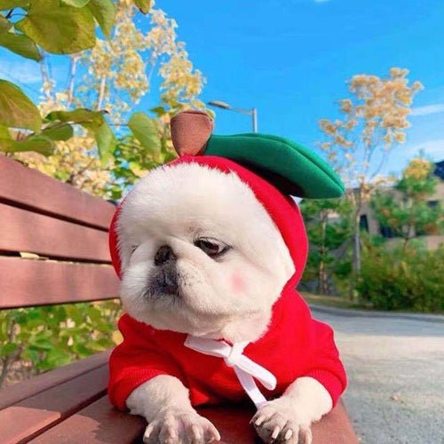 Cute Fruit Dog Clothes For Small Dogs Hoodies Winter Warm Fleece Pet - Ferano PetCute Fruit Dog Clothes For Small Dogs Hoodies Winter Warm Fleece PetFerano PetCute Fruit Dog Clothes For Small Dogs Hoodies Winter Warm Fleece PetXS1 Style