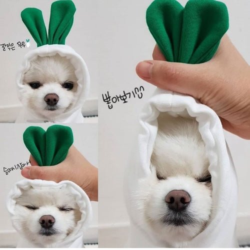 Cute Fruit Dog Clothes For Small Dogs Hoodies Winter Warm Fleece Pet - Ferano PetCute Fruit Dog Clothes For Small Dogs Hoodies Winter Warm Fleece PetFerano PetCute Fruit Dog Clothes For Small Dogs Hoodies Winter Warm Fleece PetXS4 Style