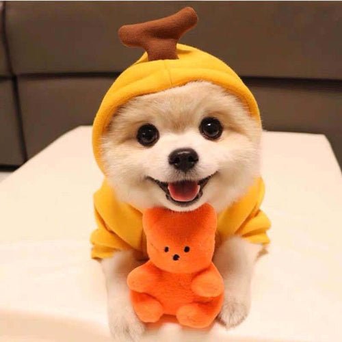 Cute Fruit Dog Clothes For Small Dogs Hoodies Winter Warm Fleece Pet - Ferano PetCute Fruit Dog Clothes For Small Dogs Hoodies Winter Warm Fleece PetFerano PetCute Fruit Dog Clothes For Small Dogs Hoodies Winter Warm Fleece PetM7 Style