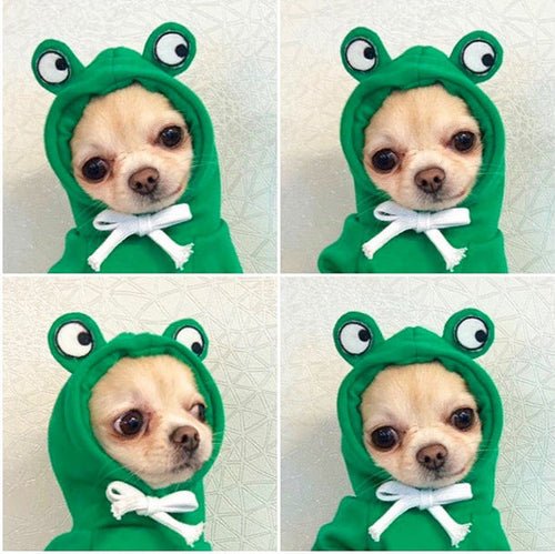 Cute Fruit Dog Clothes For Small Dogs Hoodies Winter Warm Fleece Pet - Ferano PetCute Fruit Dog Clothes For Small Dogs Hoodies Winter Warm Fleece PetFerano PetCute Fruit Dog Clothes For Small Dogs Hoodies Winter Warm Fleece PetXLFroggy