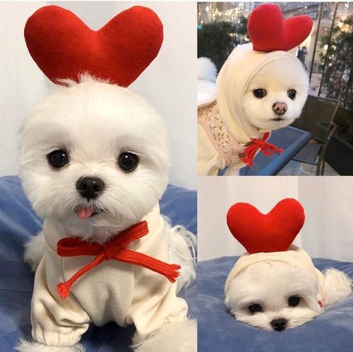 Cute Fruit Dog Clothes For Small Dogs Hoodies Winter Warm Fleece Pet - Ferano PetCute Fruit Dog Clothes For Small Dogs Hoodies Winter Warm Fleece PetFerano PetCute Fruit Dog Clothes For Small Dogs Hoodies Winter Warm Fleece PetXS2 Style