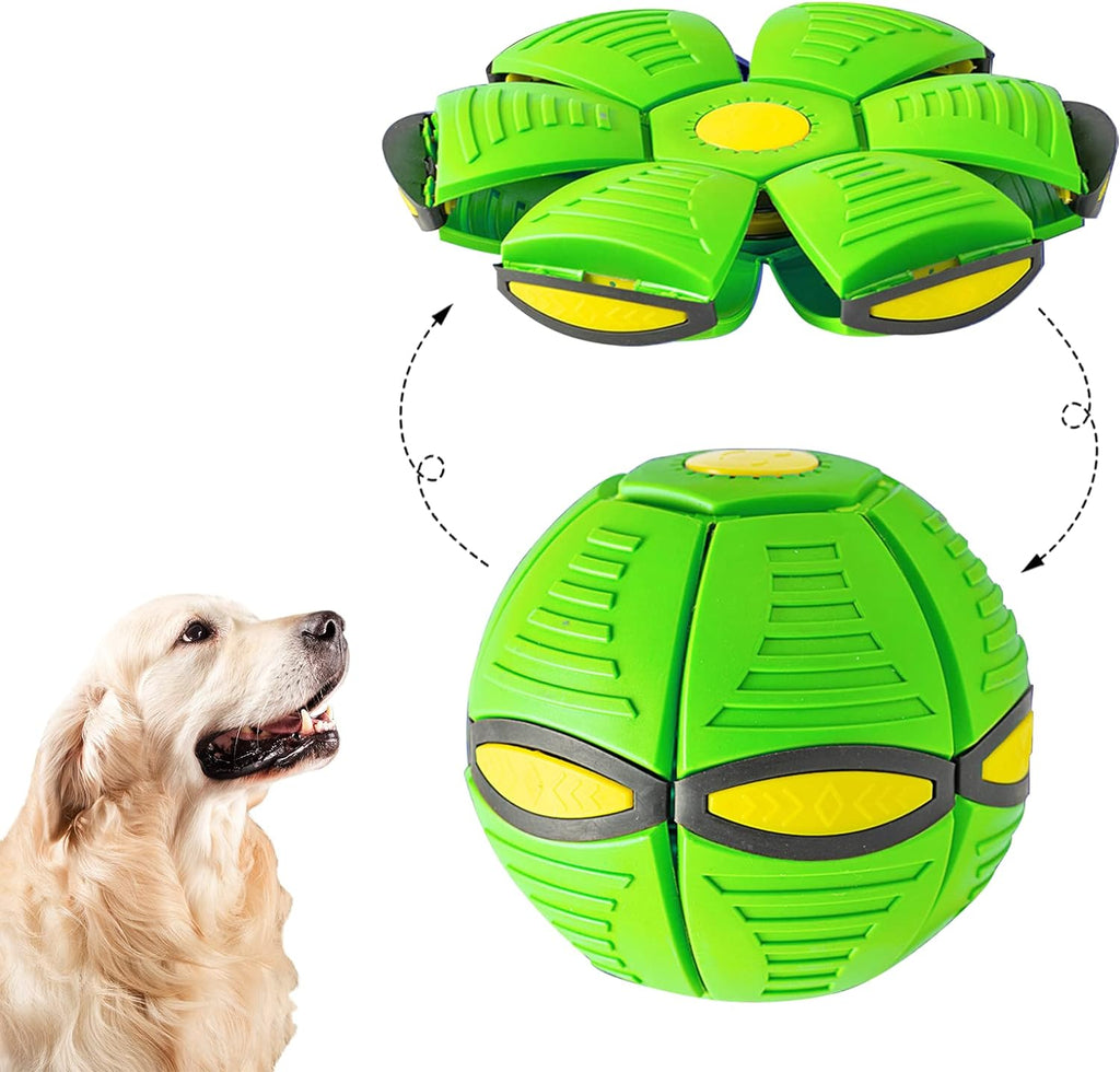 Foldable Flying Saucer Dog Toy – Foldable & Bouncy - Ferano PetFoldable Flying Saucer Dog Toy – Foldable & BouncyFerano PetFoldable Flying Saucer Dog Toy – Foldable & BouncyDoes not shine green