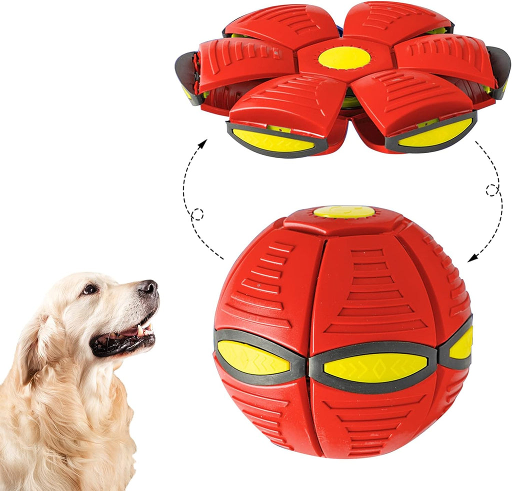 Foldable Flying Saucer Dog Toy – Foldable & Bouncy - Ferano PetFoldable Flying Saucer Dog Toy – Foldable & BouncyFerano PetFoldable Flying Saucer Dog Toy – Foldable & BouncyDoes not shine red