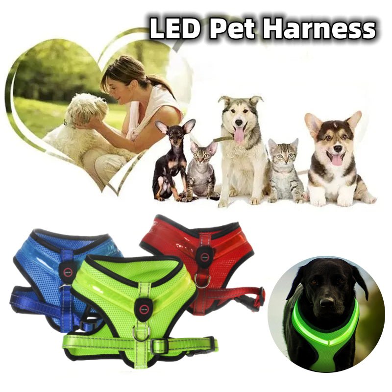 LED Safety Dog Harness – USB Rechargeable & Reflective - Ferano PetLED Safety Dog Harness – USB Rechargeable & ReflectiveFerano PetLED Safety Dog Harness – USB Rechargeable & ReflectiveBlueL