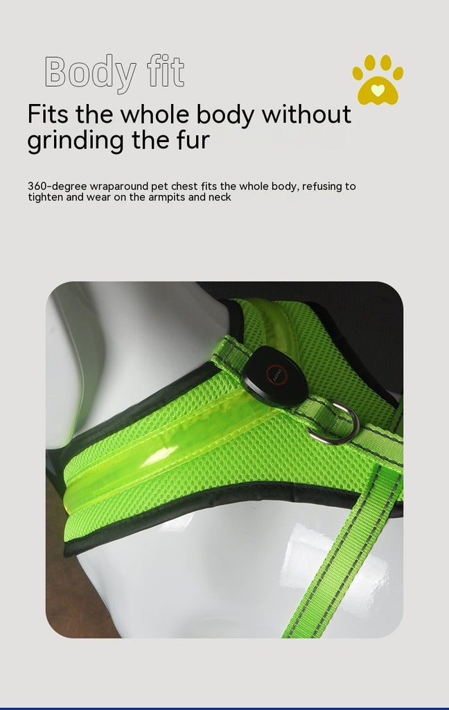 LED Safety Dog Harness – USB Rechargeable & Reflective - Ferano PetLED Safety Dog Harness – USB Rechargeable & ReflectiveFerano PetLED Safety Dog Harness – USB Rechargeable & ReflectiveBlueL