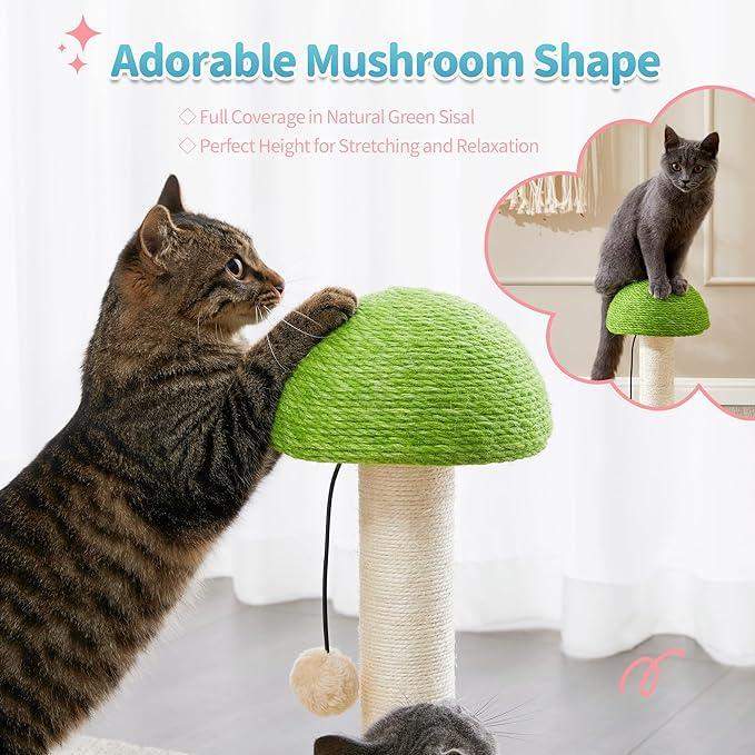 Mushroom Interactive Cat Scratching Toy | 2 - in - 1 Ball Track & Sisal Post - Ferano PetMushroom Interactive Cat Scratching Toy | 2 - in - 1 Ball Track & Sisal PostFerano PetMushroom Interactive Cat Scratching Toy | 2 - in - 1 Ball Track & Sisal PostWood