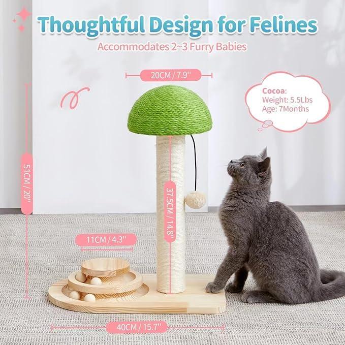 Mushroom Interactive Cat Scratching Toy | 2 - in - 1 Ball Track & Sisal Post - Ferano PetMushroom Interactive Cat Scratching Toy | 2 - in - 1 Ball Track & Sisal PostFerano PetMushroom Interactive Cat Scratching Toy | 2 - in - 1 Ball Track & Sisal PostWood