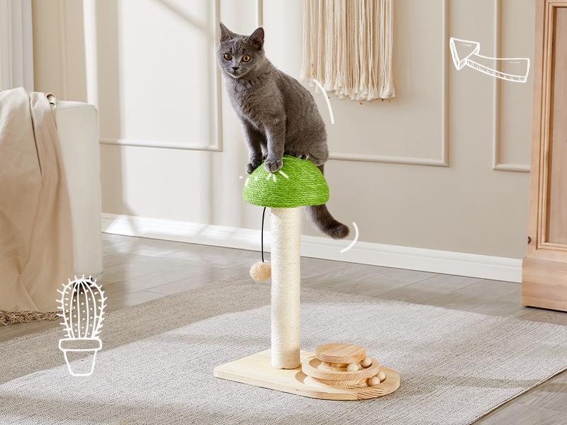 Mushroom Interactive Cat Scratching Toy | 2 - in - 1 Ball Track & Sisal Post - Ferano PetMushroom Interactive Cat Scratching Toy | 2 - in - 1 Ball Track & Sisal PostFerano PetMushroom Interactive Cat Scratching Toy | 2 - in - 1 Ball Track & Sisal PostWood