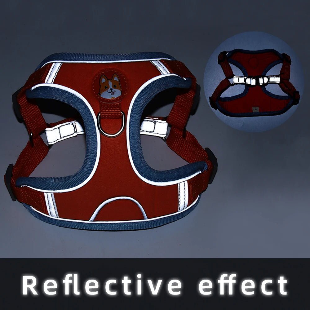 Pet Cat Harness And Leash Set - Ferano PetPet Cat Harness And Leash SetFerano PetPet Cat Harness And Leash SetPurpleSize S