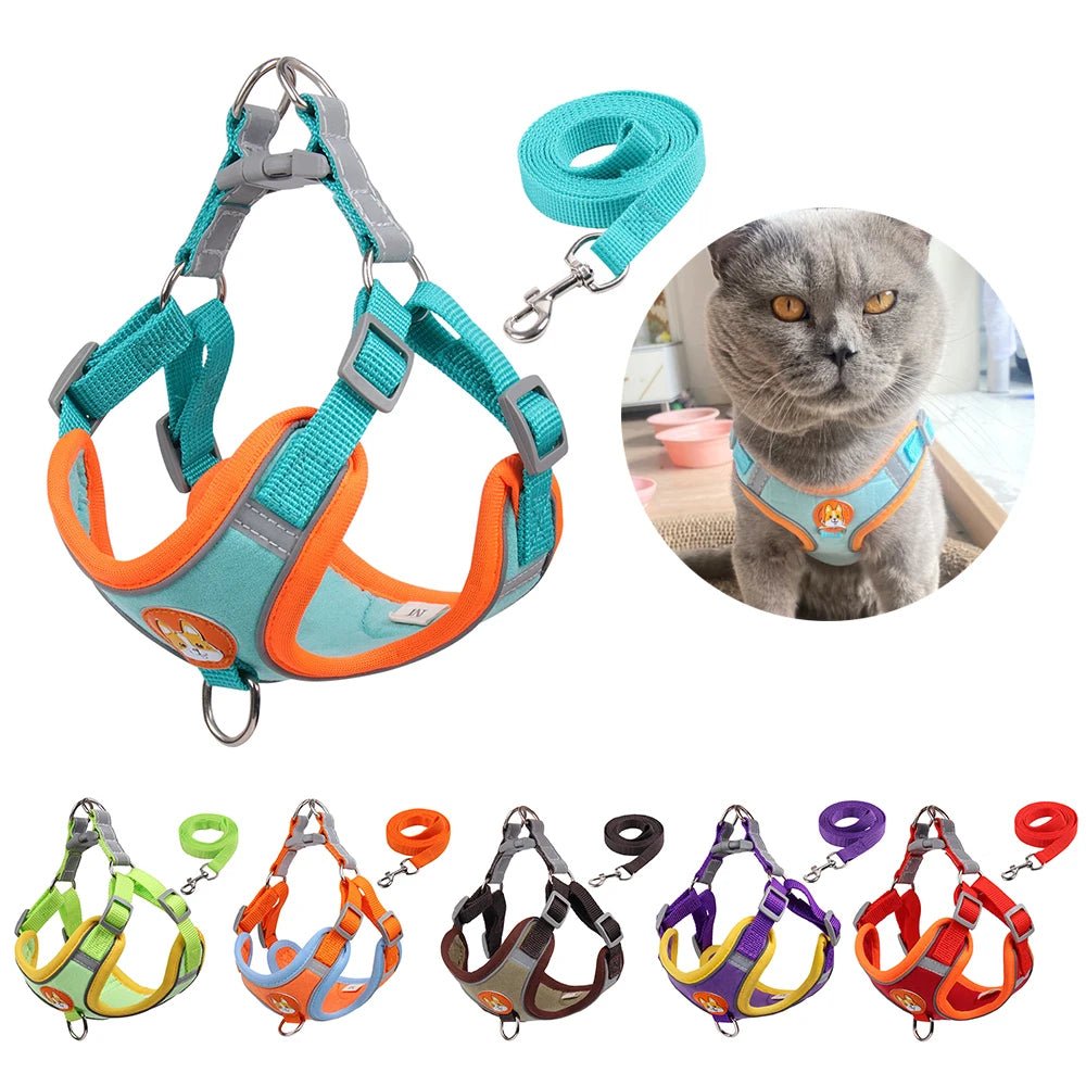 Pet Cat Harness And Leash Set - Ferano PetPet Cat Harness And Leash SetFerano PetPet Cat Harness And Leash SetPurpleSize S