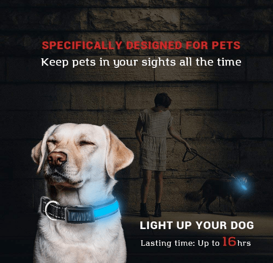 USB and Solar Charge Reflective Led Dog Collar - Ferano PetUSB and Solar Charge Reflective Led Dog CollarFerano PetUSB and Solar Charge Reflective Led Dog CollarLBlue