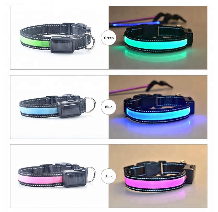 USB and Solar Charge Reflective Led Dog Collar - Ferano PetUSB and Solar Charge Reflective Led Dog CollarFerano PetUSB and Solar Charge Reflective Led Dog CollarLBlue