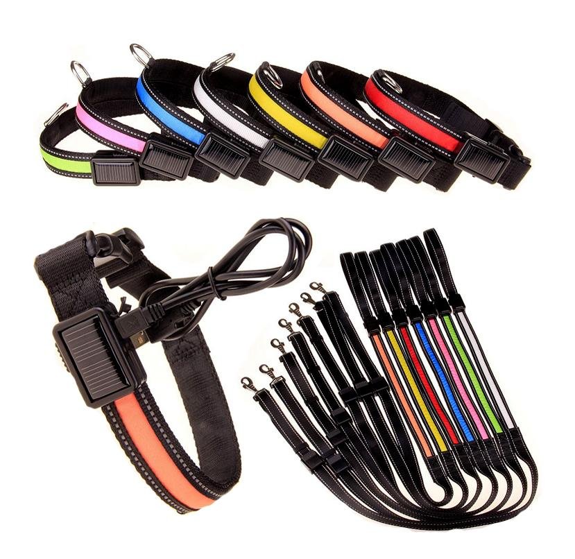 USB and Solar Charge Reflective Led Dog Collar - Ferano PetUSB and Solar Charge Reflective Led Dog CollarFerano PetUSB and Solar Charge Reflective Led Dog CollarLBlue