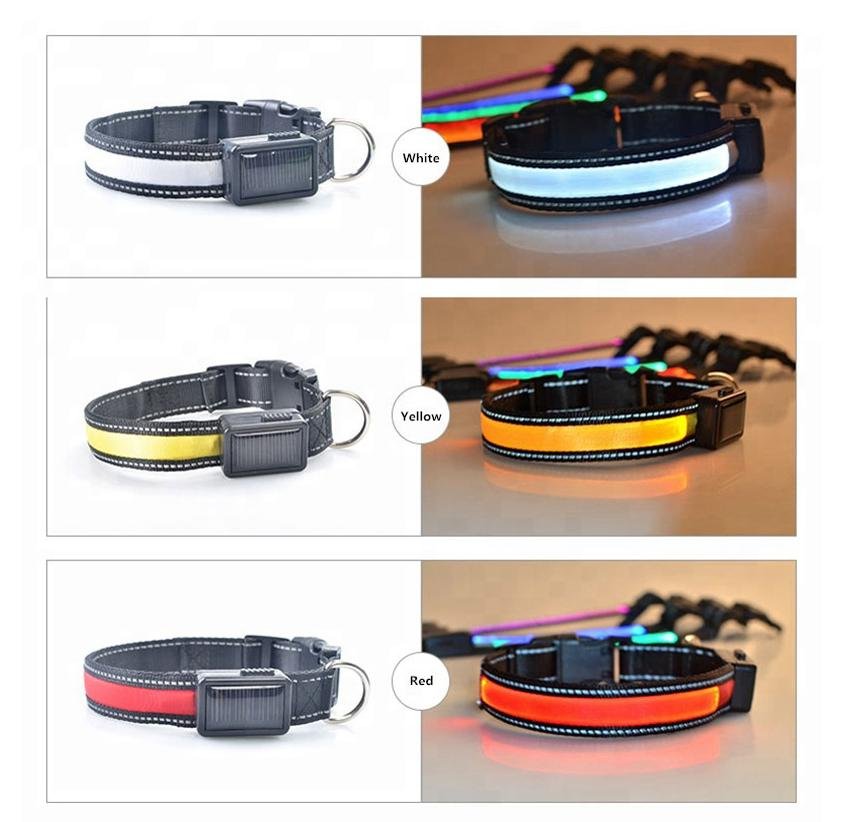 USB and Solar Charge Reflective Led Dog Collar - Ferano PetUSB and Solar Charge Reflective Led Dog CollarFerano PetUSB and Solar Charge Reflective Led Dog CollarLBlue