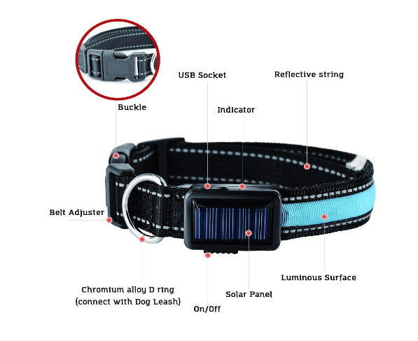 USB and Solar Charge Reflective Led Dog Collar - Ferano PetUSB and Solar Charge Reflective Led Dog CollarFerano PetUSB and Solar Charge Reflective Led Dog CollarLBlue