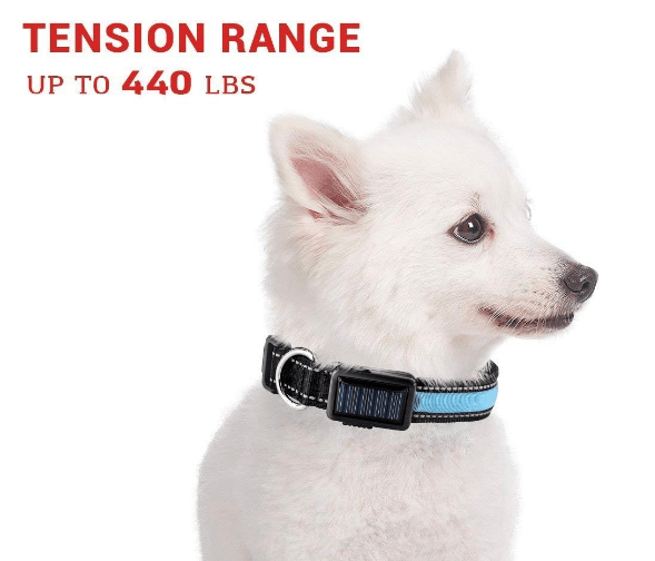 USB and Solar Charge Reflective Led Dog Collar - Ferano PetUSB and Solar Charge Reflective Led Dog CollarFerano PetUSB and Solar Charge Reflective Led Dog CollarLBlue