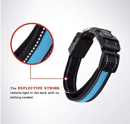 USB and Solar Charge Reflective Led Dog Collar - Ferano PetUSB and Solar Charge Reflective Led Dog CollarFerano PetUSB and Solar Charge Reflective Led Dog CollarLBlue